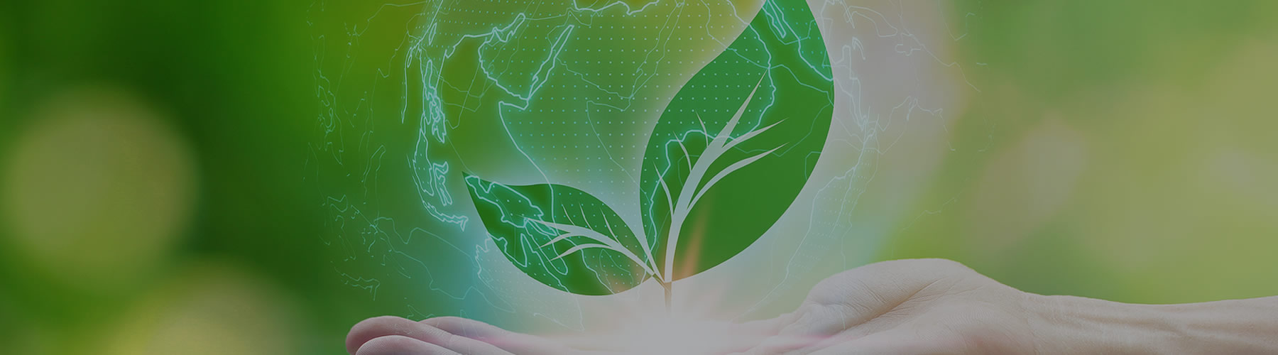 Hello Environmental Eco Friendly Printing | Our Commitment to a Sustainable Future | RISO